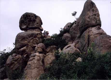 阜新海棠山自然保护区