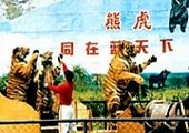 桂林雄森熊虎山庄